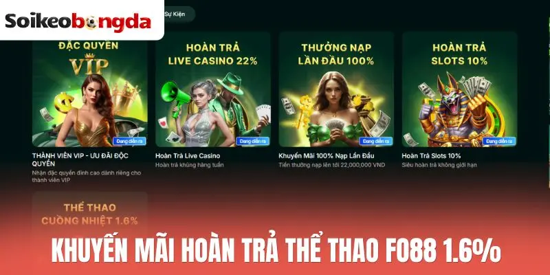 Fo88 - Cược Thể Thao Xanh Chín, Thanh Toán Tức Thì 2 Khuyến mãi hoàn trả thể thao Fo88 1.6%