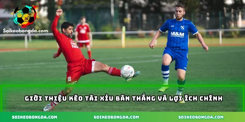 Kèo Tài Xỉu Bàn Thắng – Chiến Thuật Đọc Kèo Từ Cao Thủ 1 2-gioi-thieu-keo-tai-xiu-ban-thang-va-loi-ich-chinh