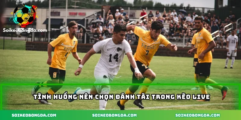 Kèo Tài Xỉu Bàn Thắng – Chiến Thuật Đọc Kèo Từ Cao Thủ 3 4-tinh-huong-nen-chon-danh-tai-trong-keo-live