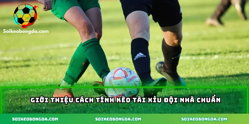 Kèo Tài Xỉu Đội Nhà – Cách Tính Kèo Và Kinh Nghiệm Cược 1 gioi-thieu-cach-tinh-keo-tai-xiu-doi-nha-chuan