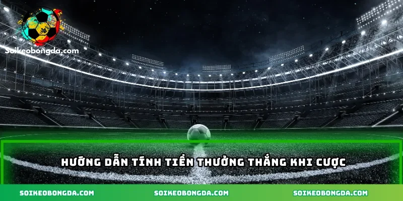 Kèo Tài Xỉu Hiệp 2 – Bật Mí Chiến Lược Thắng Cược Nên Biết 2 huong-dan-tinh-tien-thuong-khi-thang-cuoc