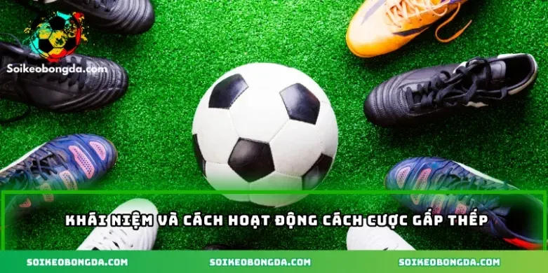 Cược Gấp Thếp Bí Quyết Sử Dụng Vốn Cho Hiệu Quả Cao 1 imgi 3 70 2 khai niem va cach hoat dong cach cuoc gap thep
