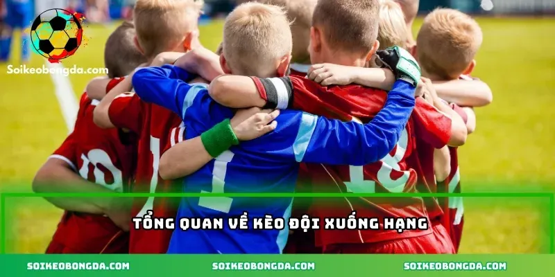 Kèo Đội Xuống Hạng – Cách Đọc Kèo Và Tính Tiền Chi Tiết 1 imgi 3 92 2 tong quan ve keo doi bong xuong hang