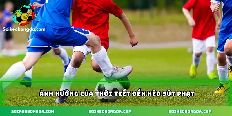 Kèo Đá Phạt Chuẩn Xác Giúp Nâng Cao Tỷ Lệ Thắng Cược 3 imgi 5 65 4 anh huong cua thoi tiet den keo sut phat