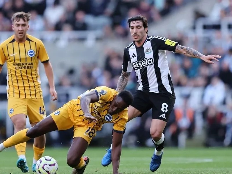 Soi kèo Brighton vs Newcastle vòng 8 giải Ngoại hạng Anh 3 soi-keo-brighton-vs-newcastle-21h-18-10-3