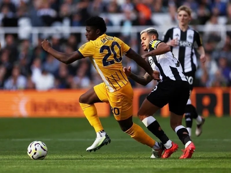 Soi kèo Brighton vs Newcastle vòng 8 giải Ngoại hạng Anh 4 soi-keo-brighton-vs-newcastle-21h-18-10-4