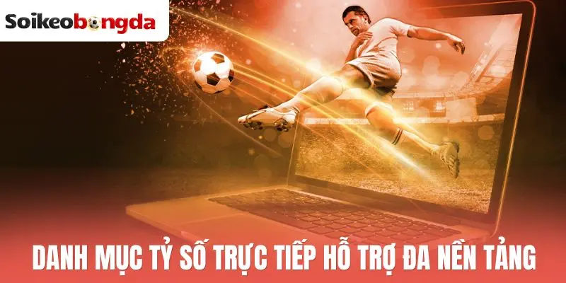 Livescore 27 Danh mục tỷ số trực tiếp hỗ trợ đa nền tảng