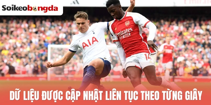 Lịch thi đấu bóng đá hôm nay 24 Dữ liệu được cập nhật liên tục theo từng giây