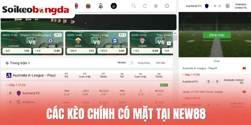 New88 - Update Kèo Thơm Cực Nhanh, Đa Dạng Giải Bóng 3 Các kèo chính có mặt tại New88