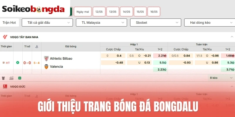 Bongdalu - Cập Nhật Tỷ Số Bóng Đá Cực Kỳ Nhanh Chóng 1 Giới thiệu trang bóng đá Bongdalu