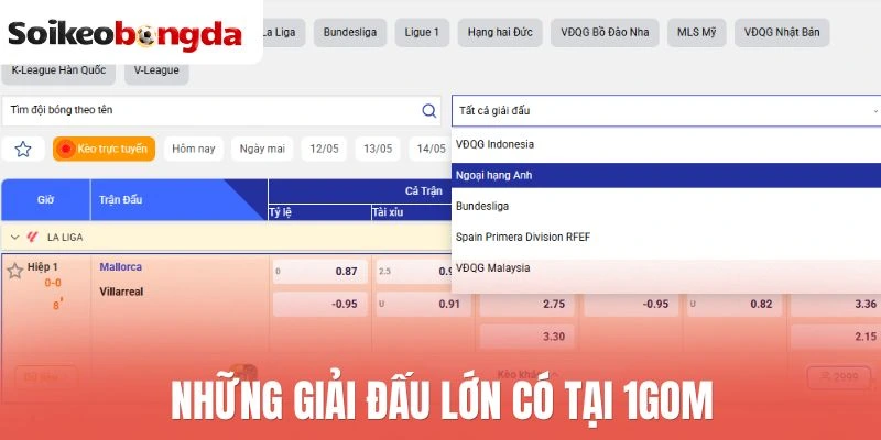 1Gom - Nền Tảng Xem Kèo Bóng Và Kết Quả Thi Đấu Mới Nhất 3 Những giải đấu lớn có tại 1Gom