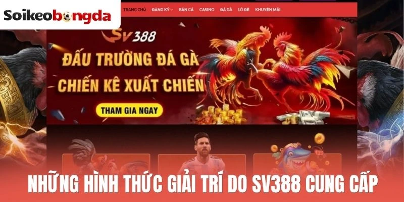 Sv388 - Sân Chơi Cá Cược Tỷ Lệ Thưởng Cao, Kèo Cập Nhật Sớm 1 Những hình thức giải trí do Sv388 cung cấp