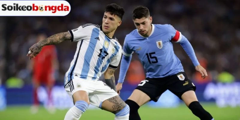 Sơ đồ lực lượng thi đấu của Uruguay vs Tây Ban Nha