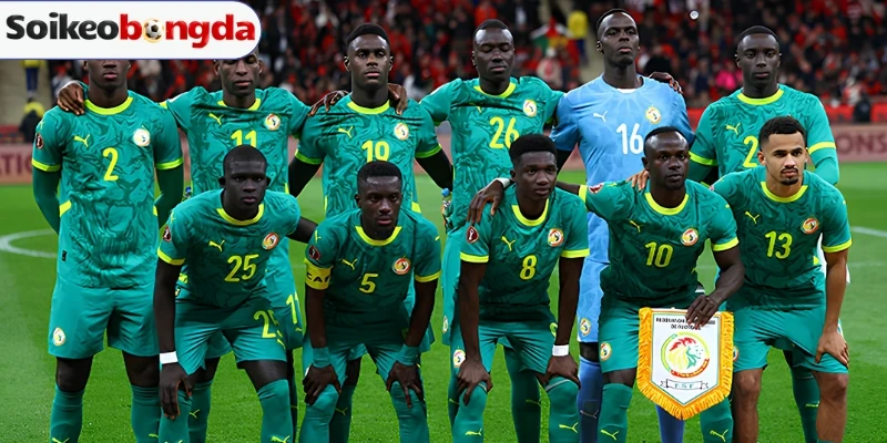 Senegal Lo Ngại Khi Edouard Mendy Chấn Thương Trước Trận 1/16 World Cup 2026 1 Vũ khí đáng gờm của Senegal trước trận 1/16